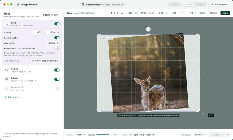 The crop editor: a 4:3 frame reaching past the edges of a photo, the area outside it shown as padding, with width, height, position and angle fields along the top.